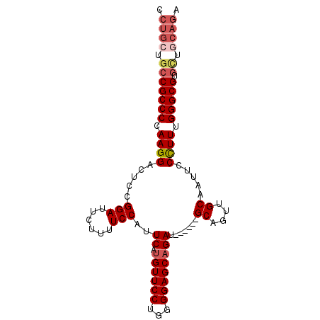 secondary structure