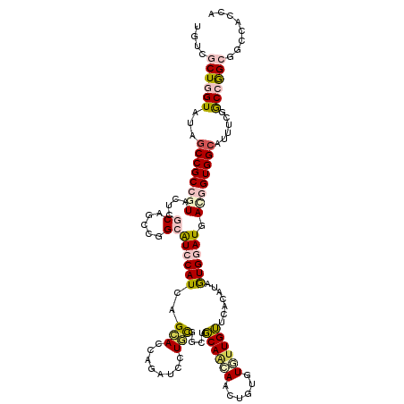secondary structure