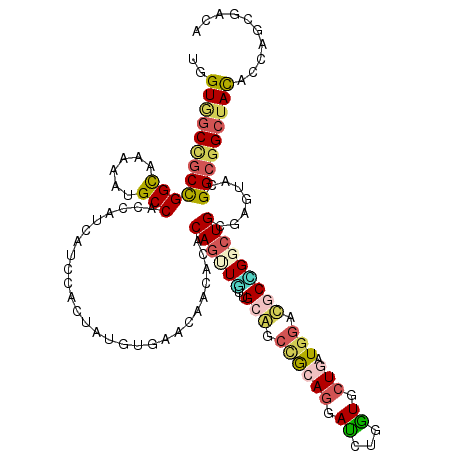 secondary structure