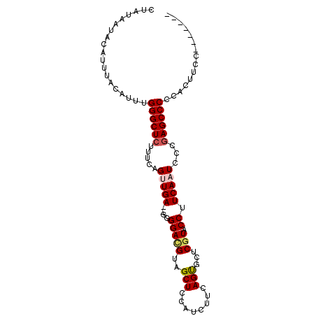 secondary structure