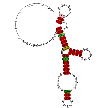 secondary structure