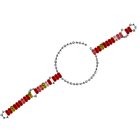 secondary structure