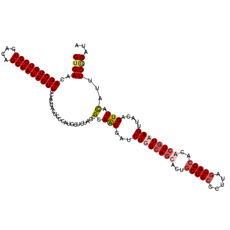 secondary structure