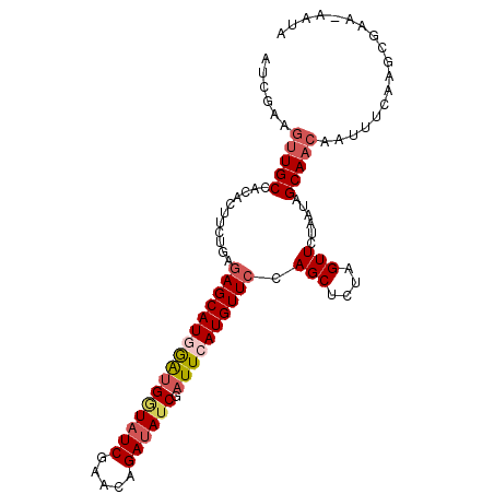 secondary structure