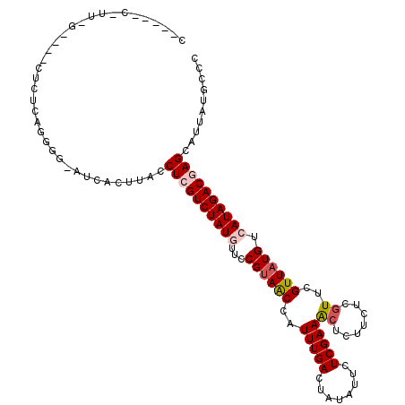 secondary structure