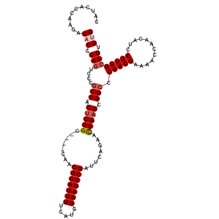 secondary structure