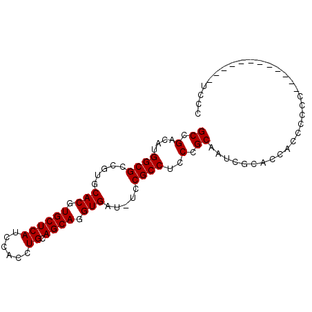 secondary structure