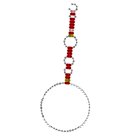secondary structure