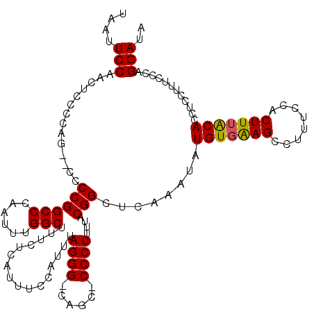 secondary structure