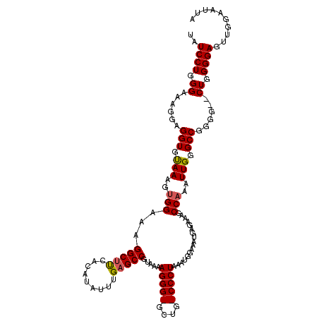 secondary structure