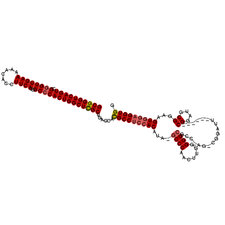 secondary structure