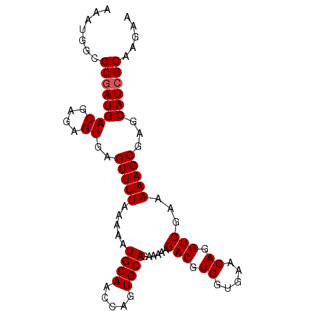 secondary structure