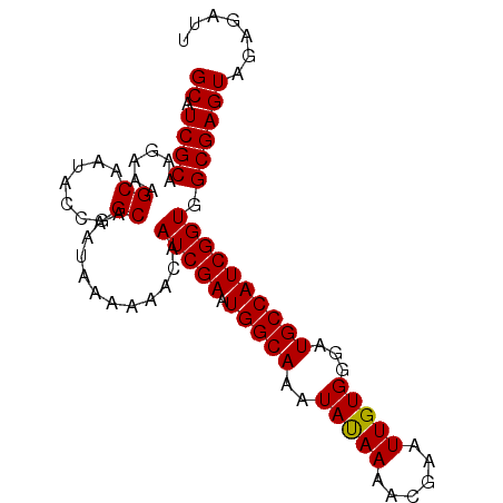 secondary structure
