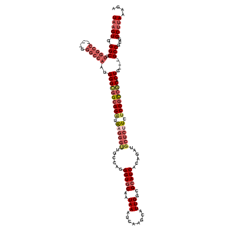 secondary structure
