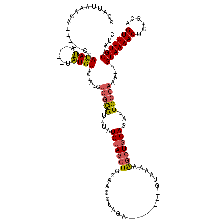 secondary structure