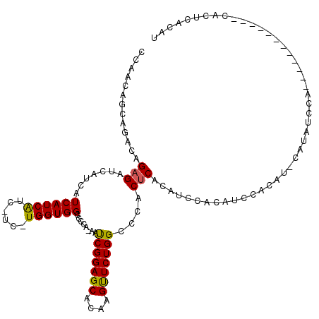 secondary structure