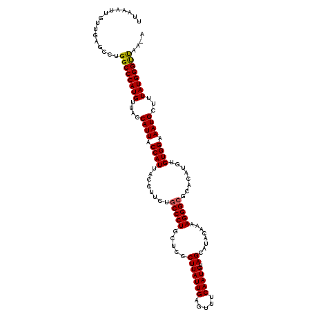 secondary structure