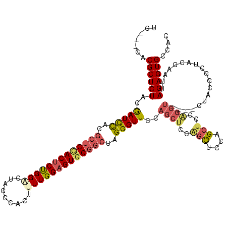 secondary structure
