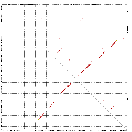 dotplot