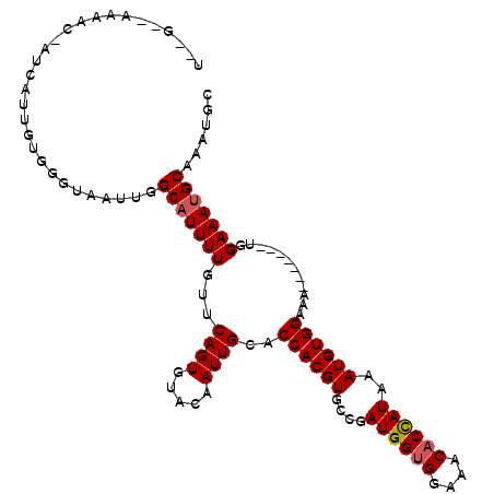 secondary structure