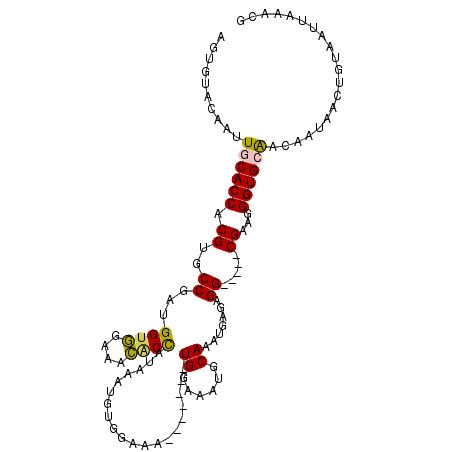 secondary structure