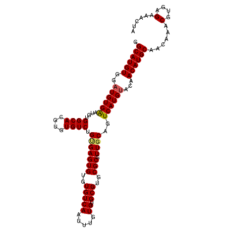 secondary structure