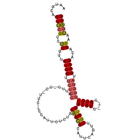 secondary structure