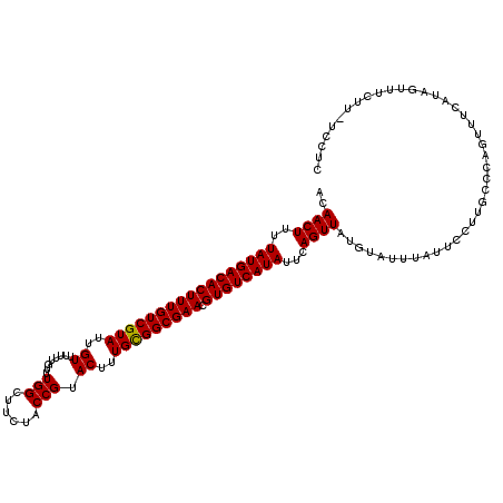 secondary structure
