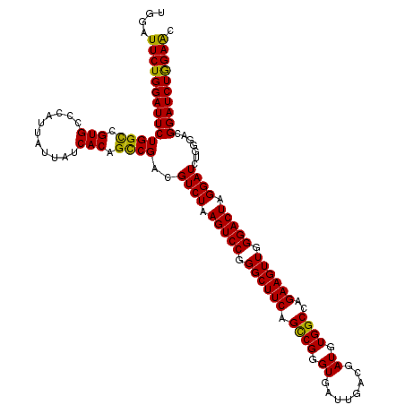 secondary structure