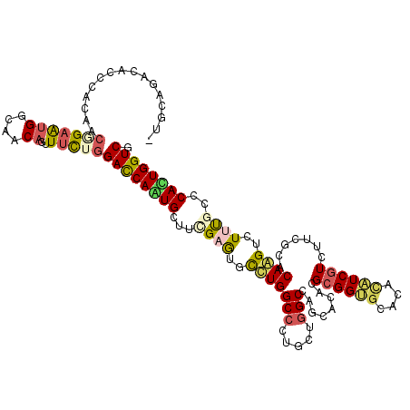 secondary structure