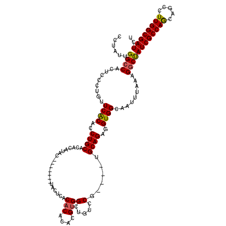 secondary structure