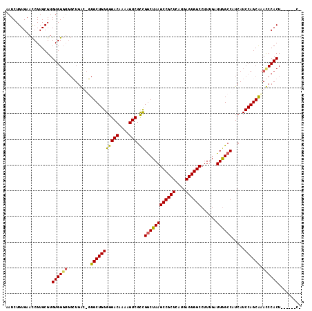 dotplot