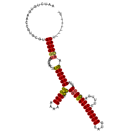secondary structure