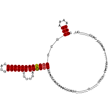 secondary structure