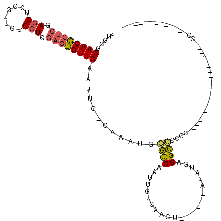 secondary structure
