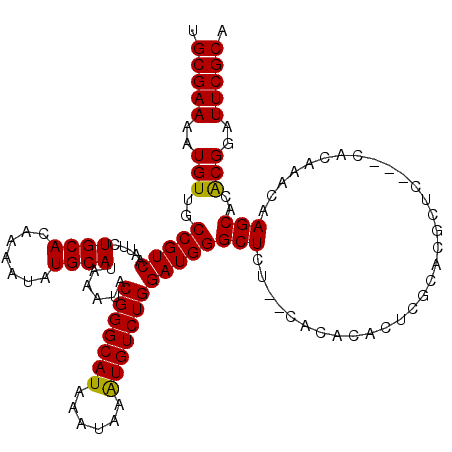 secondary structure
