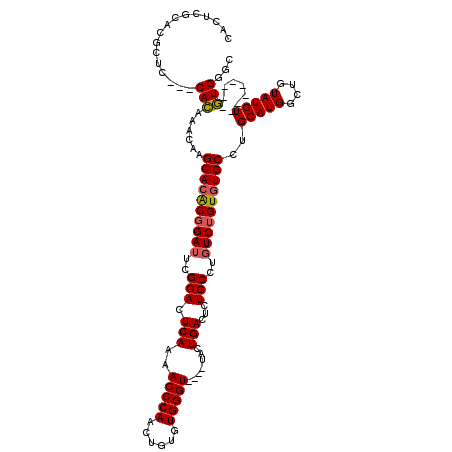 secondary structure