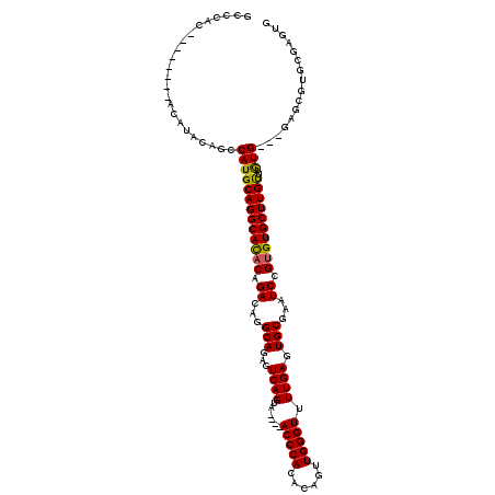 secondary structure