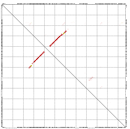 dotplot