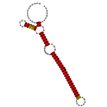 secondary structure