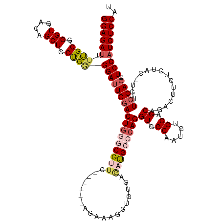 secondary structure