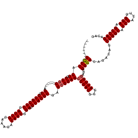 secondary structure
