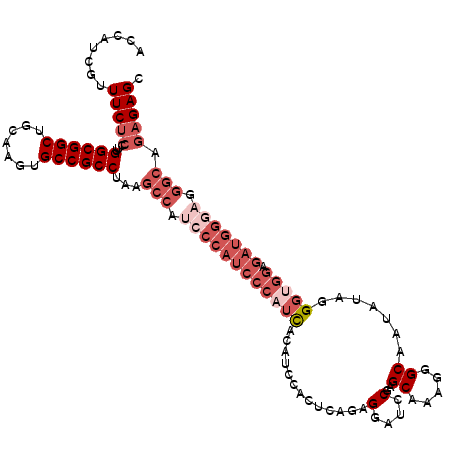 secondary structure