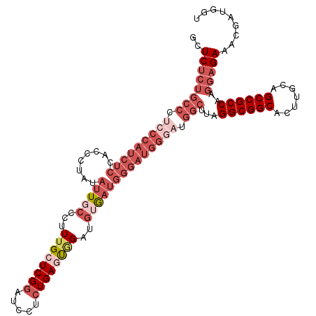 secondary structure