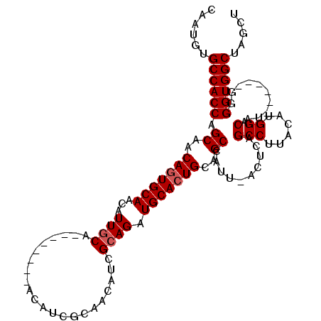 secondary structure