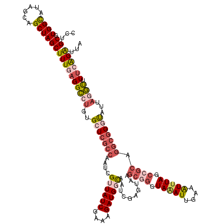 secondary structure