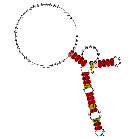 secondary structure