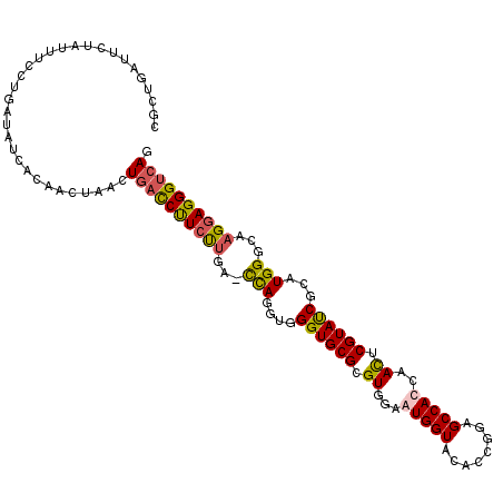 secondary structure