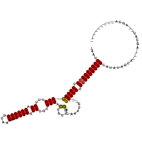 secondary structure