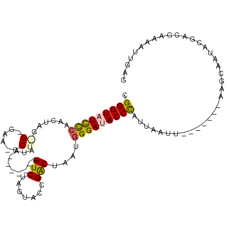 secondary structure
